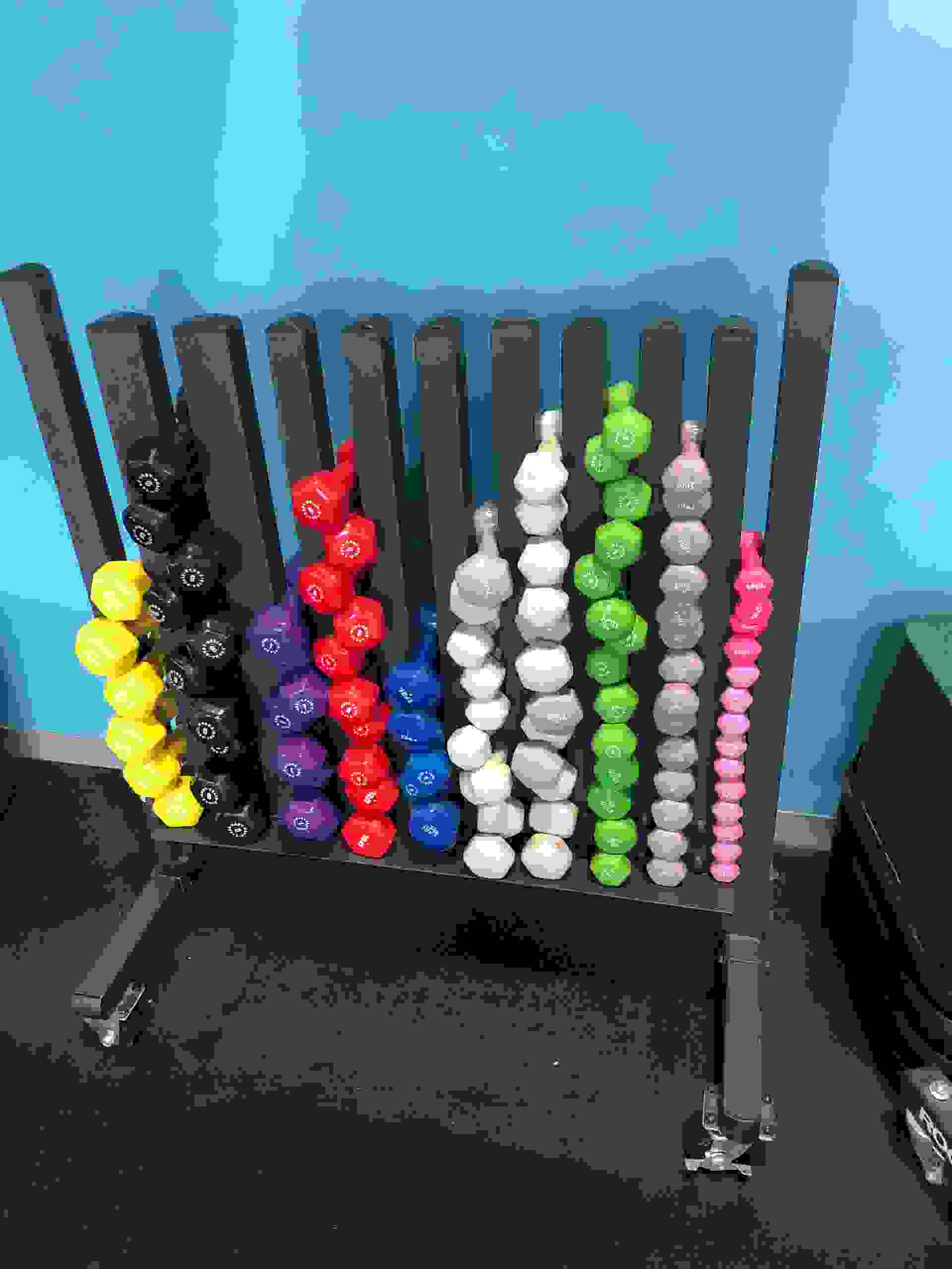 DUMBBELLS The Gym Store